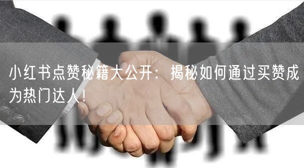 小红书点赞秘籍大公开：揭秘如何通过买赞成为热门达人！