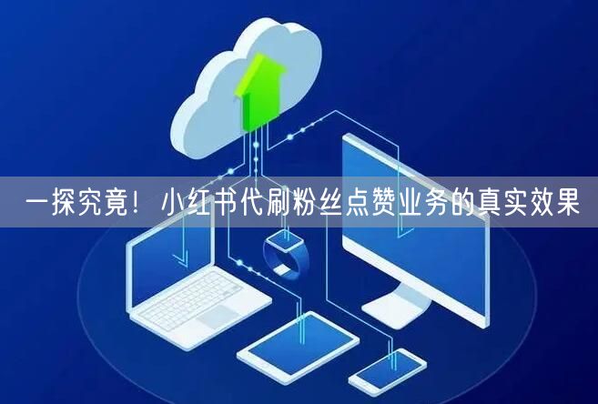 一探究竟！小红书代刷粉丝点赞业务的真实效果