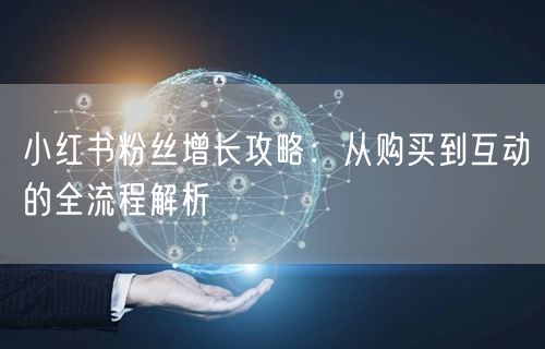 小红书粉丝增长攻略：从购买到互动的全流程解析