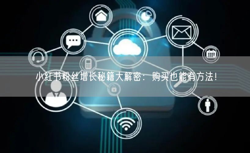 小红书粉丝增长秘籍大解密：购买也能有方法！