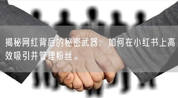 揭秘网红背后的秘密武器：如何在小红书上高效吸引并管理粉丝。