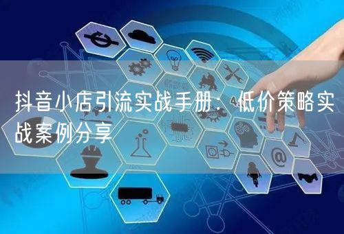 抖音小店引流实战手册：低价策略实战案例分享