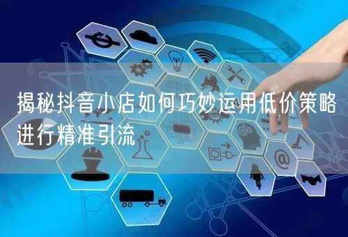 揭秘抖音小店如何巧妙运用低价策略进行精准引流