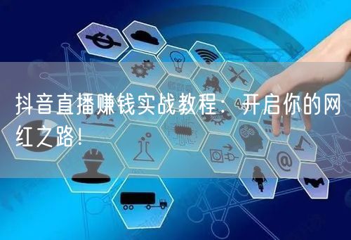抖音直播赚钱实战教程：开启你的网红之路！