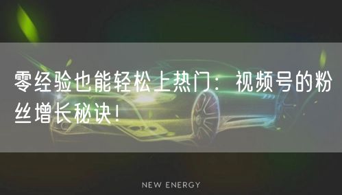 零经验也能轻松上热门:视频号的粉丝增长秘诀!