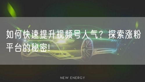 如何快速提升视频号人气?探索涨粉平台的秘密!